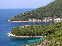 Peljesac: Trstenik
